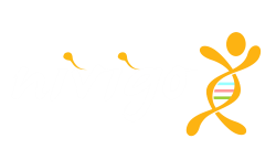 startup-logo